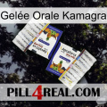 Gelée Orale Kamagra 12